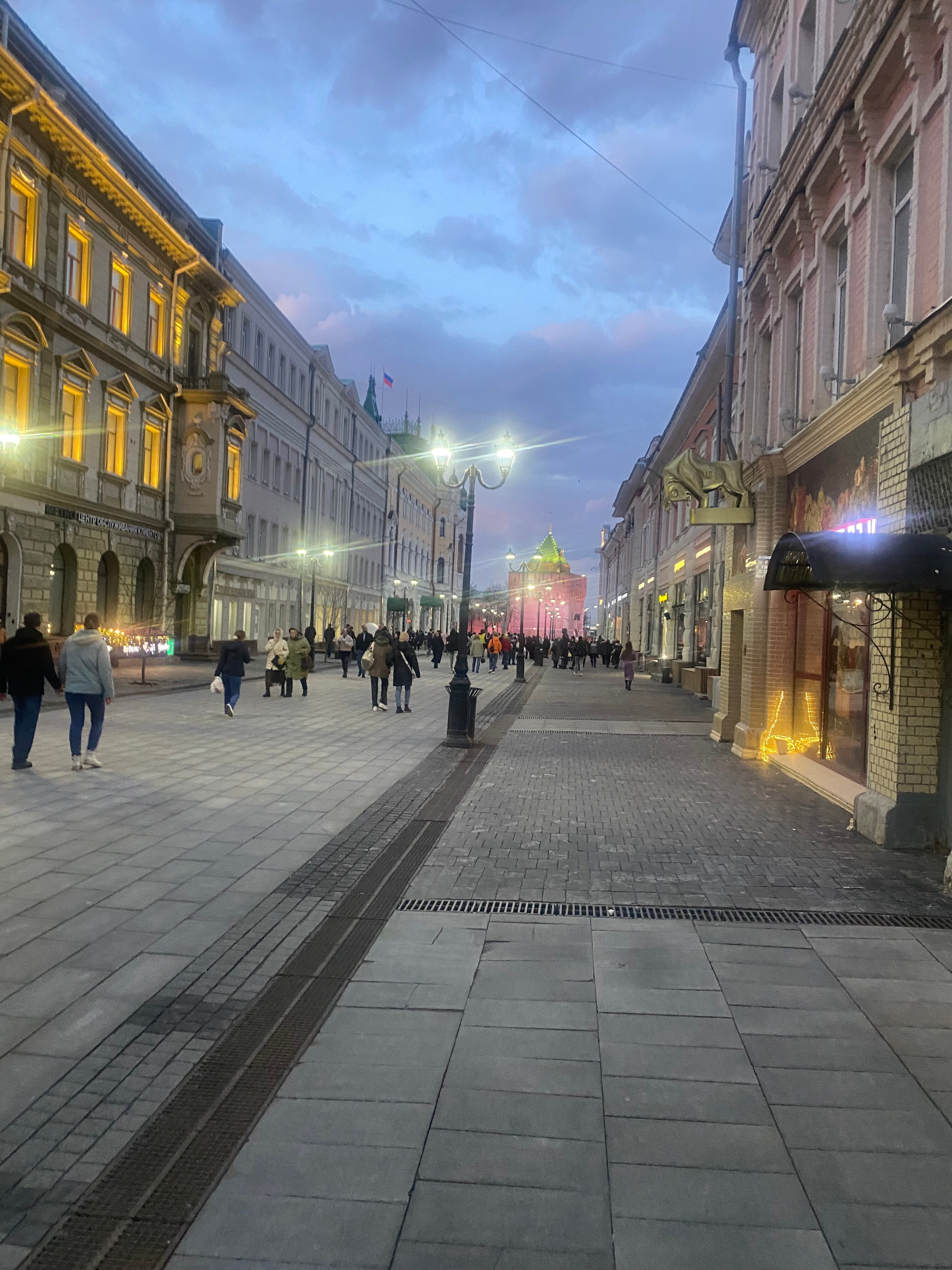 Фото Жук Жак