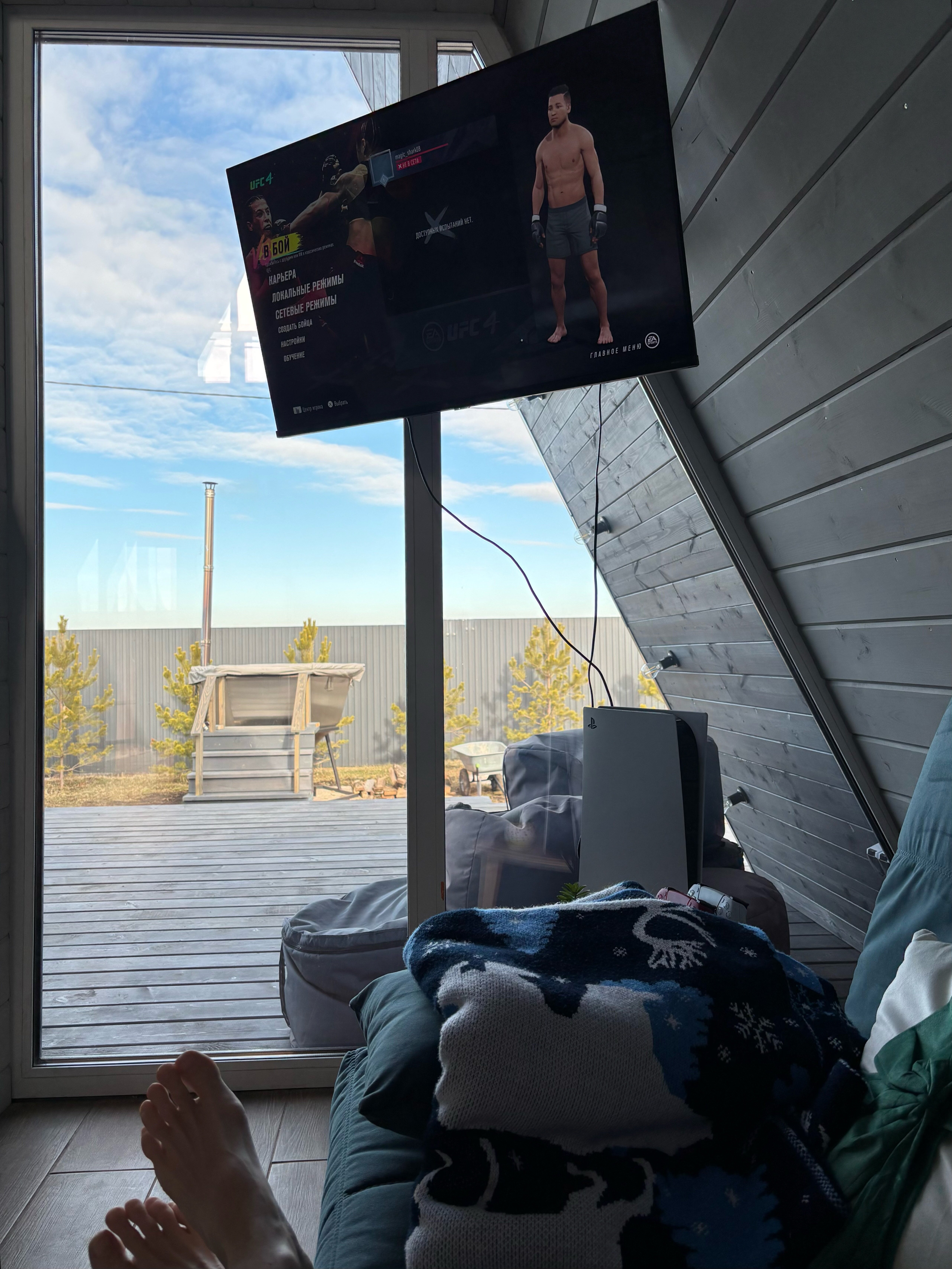 Фото Пар и сосны