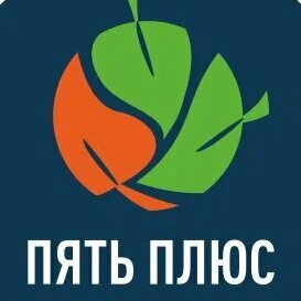 Пять плюс