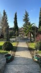 Отег (Belijy Settlement, ulitsa Zagira Arukhova, 147) ، مطعم