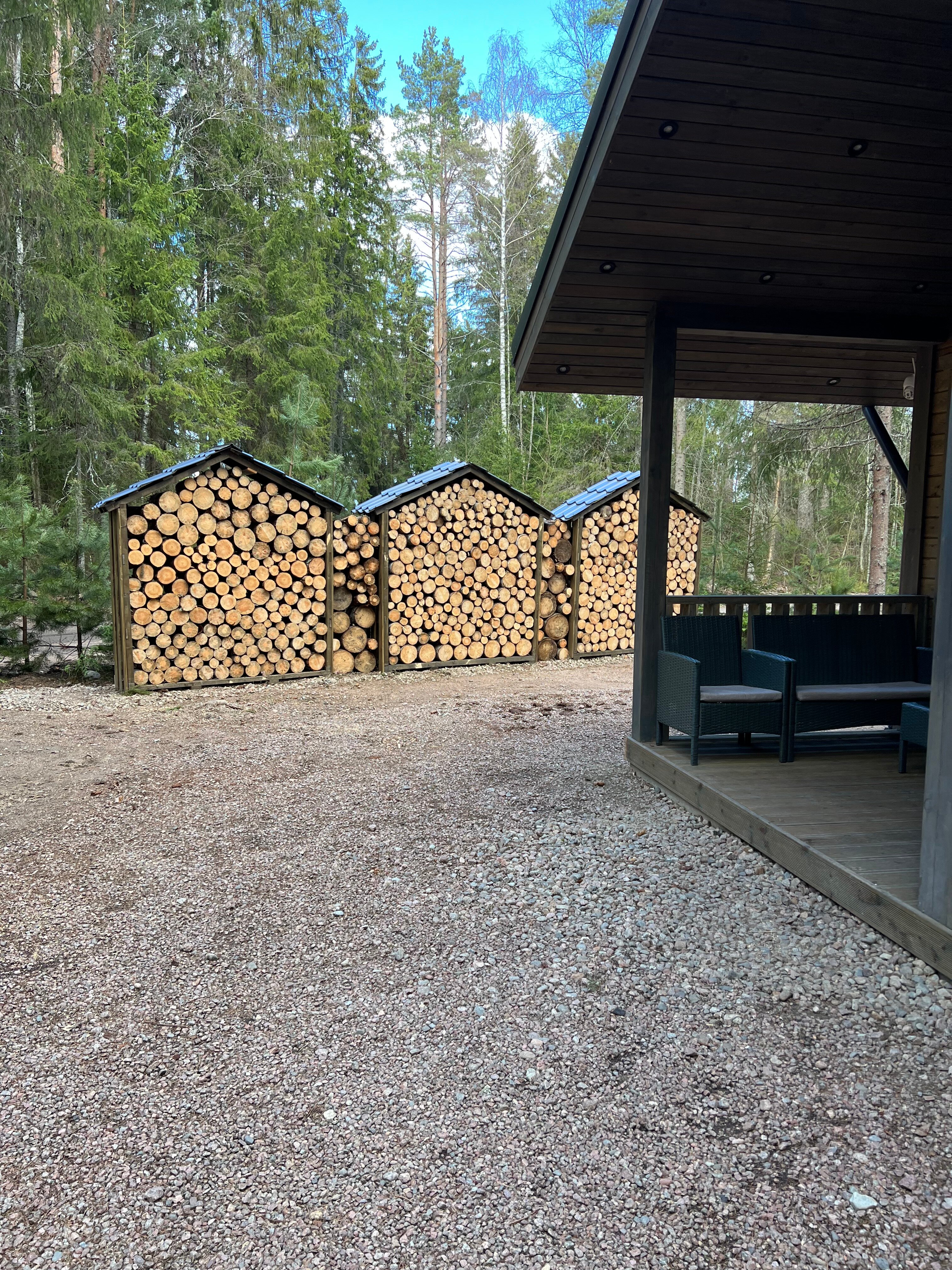 Фото Smell Of The Forest