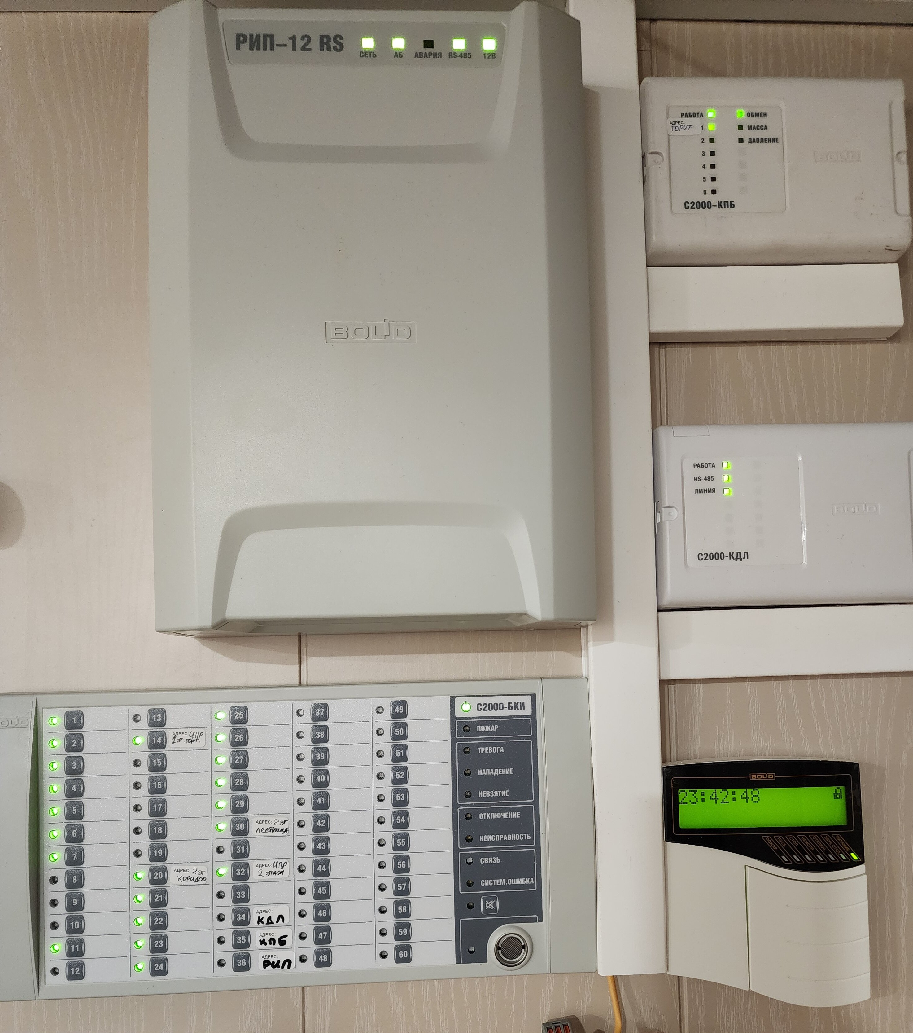 Фото Пяльма