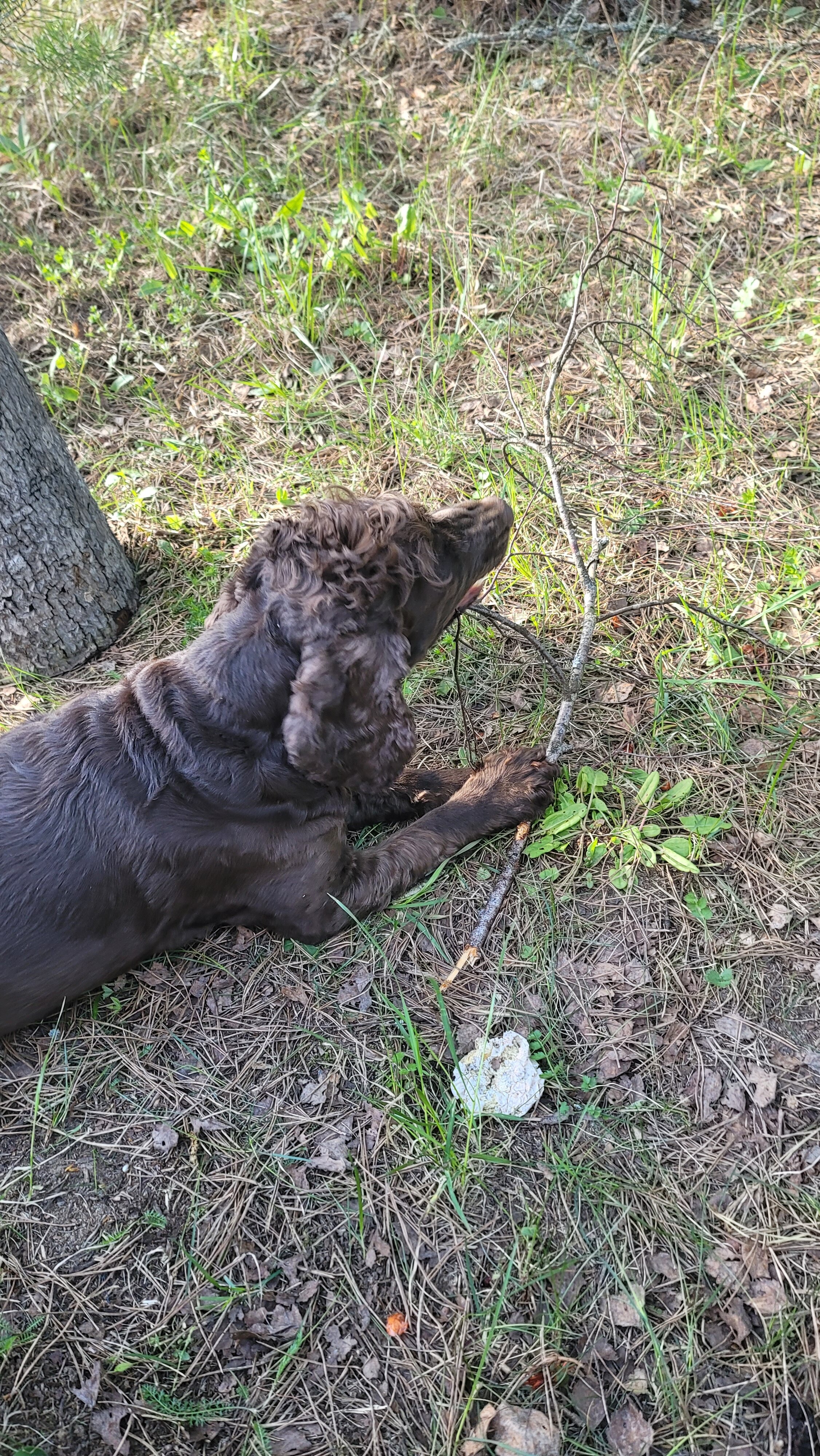 Фото Зелёная Тропа. Деревня