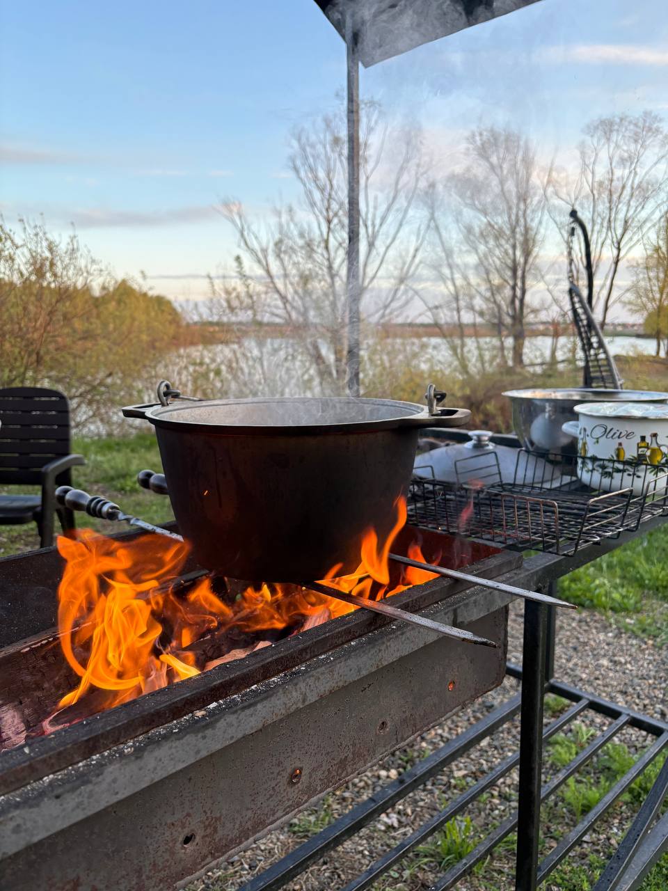 Фото Бобры и Утки