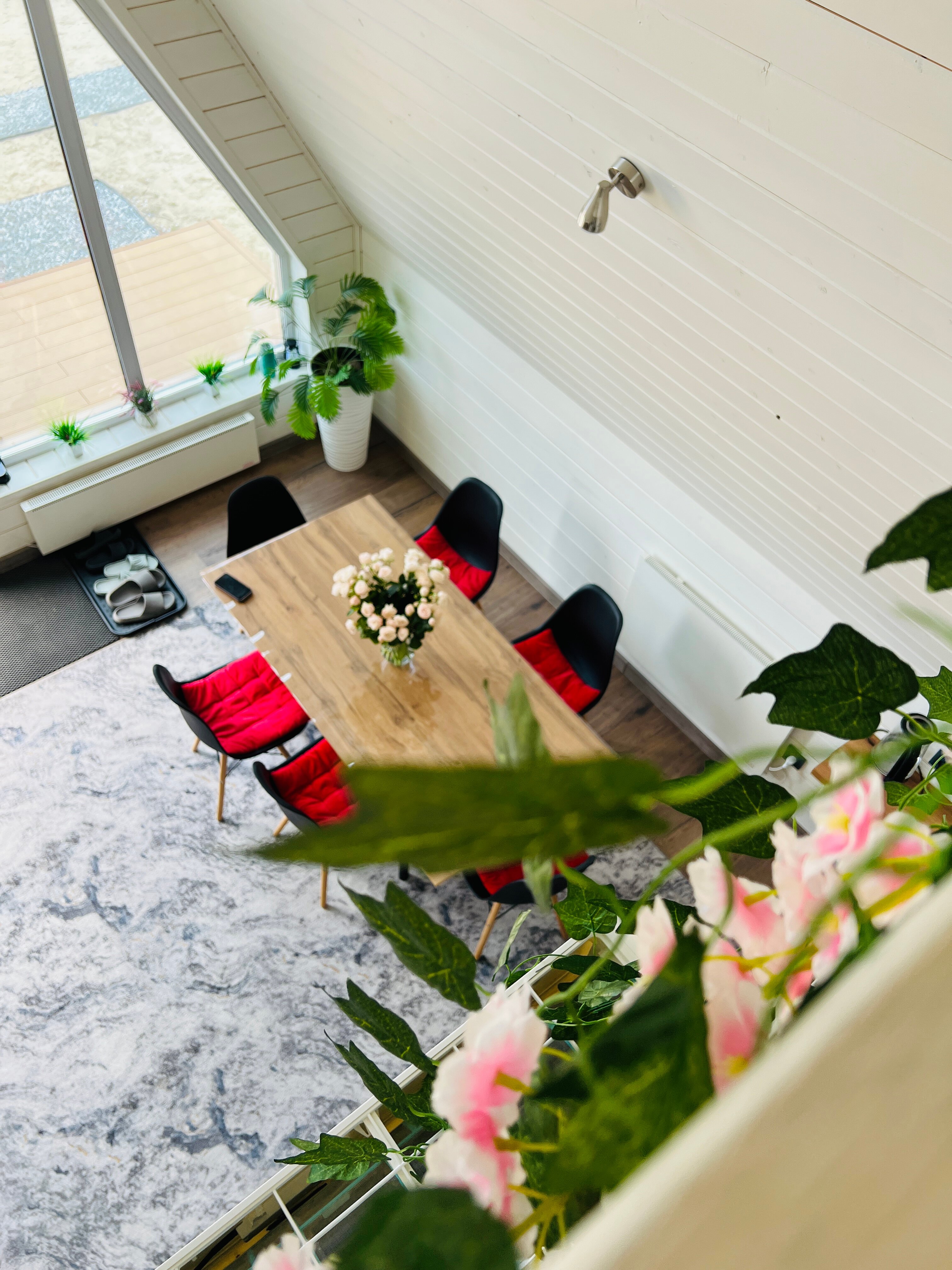 Фото Клюква