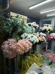 Iris floristics (Lipetsk, ulitsa S.F. Balmochnykh, 32А), flower shop