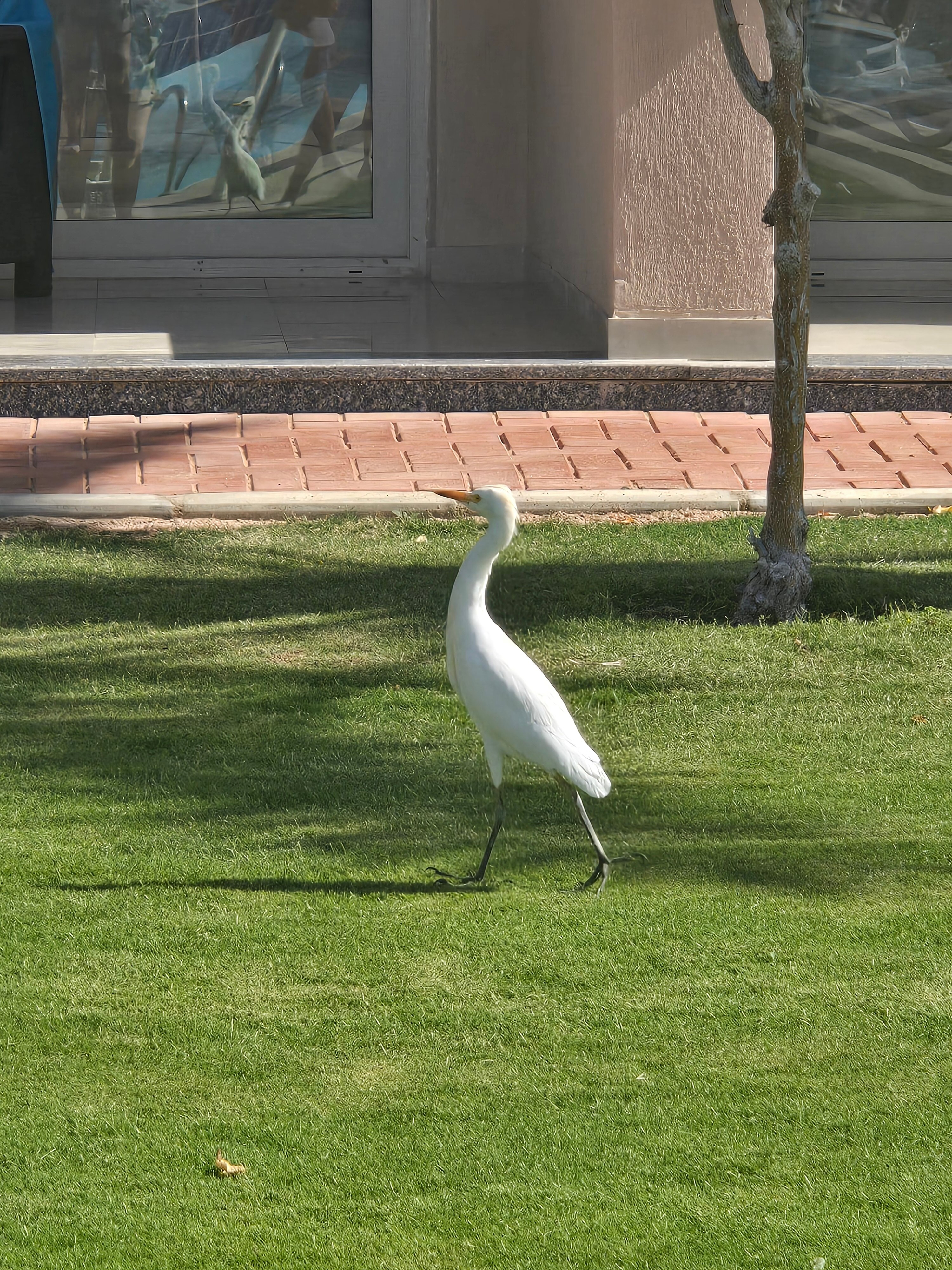 Фото Xperience Kiroseiz Parkland