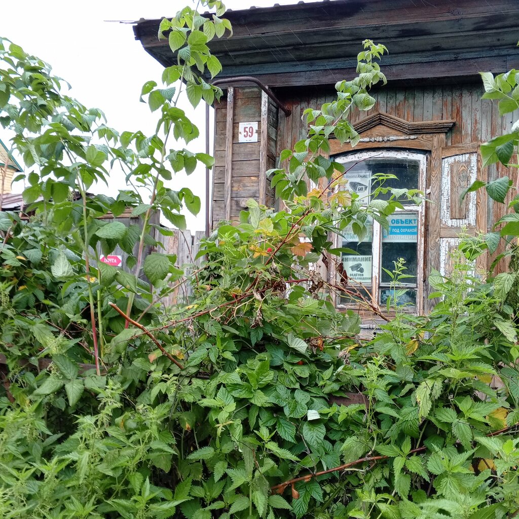 منتزه сквер имени Ю. Друниной ، ، صورة