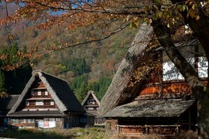 Гостиница Hotel Vischio Toyama by Granvia