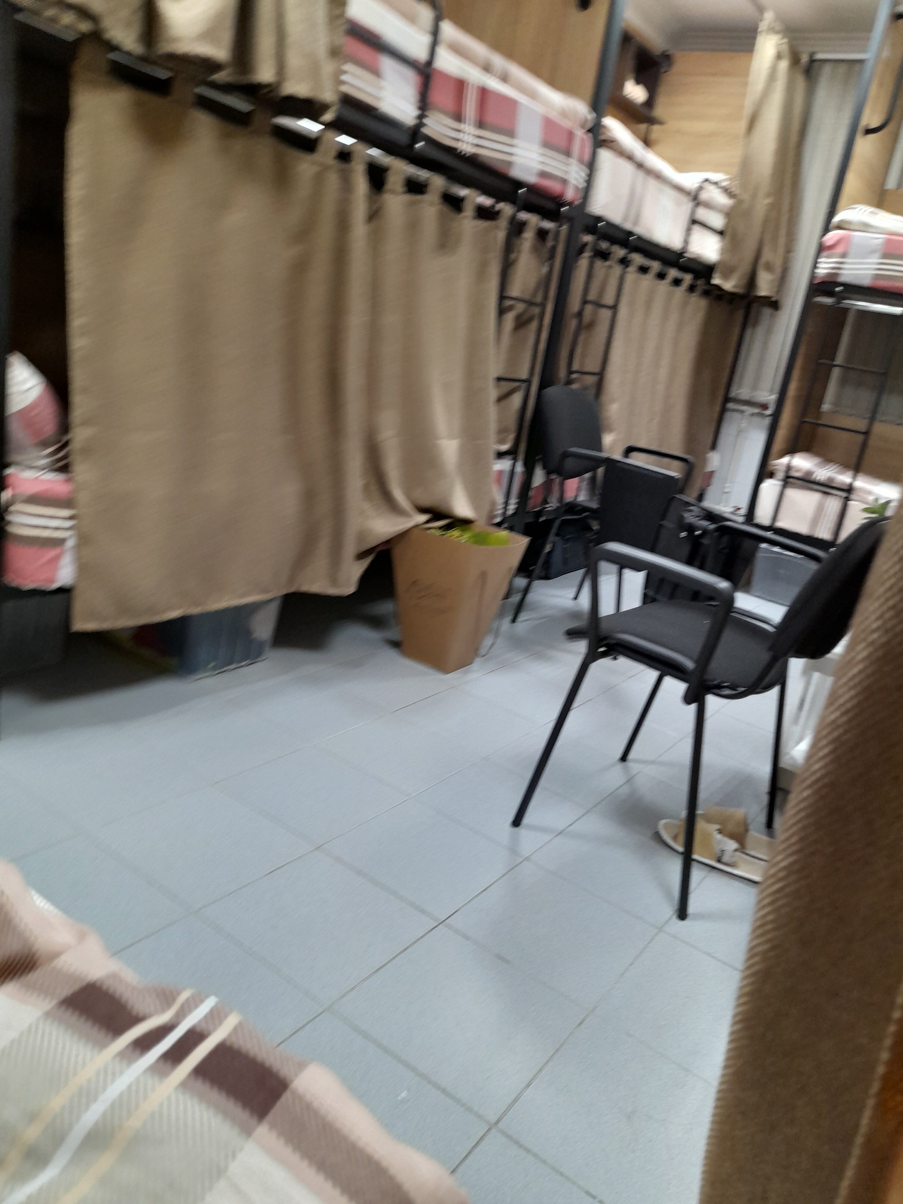 Фото Темпер Прайд