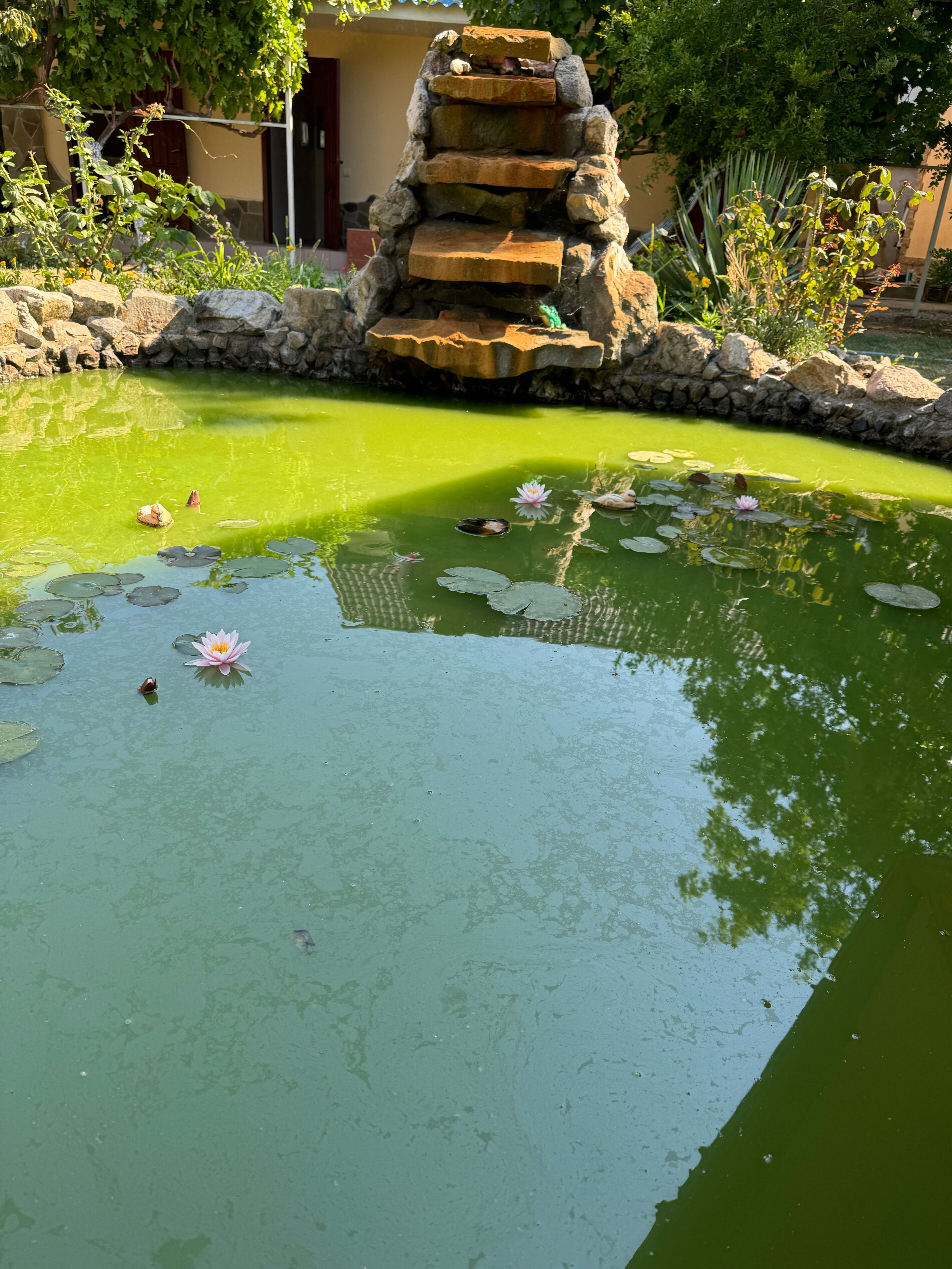 Фото Меотида