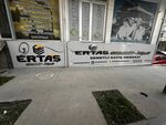 Ertash Automotive & Construction (Istanbul, Esenyurt, Fatih Neighborhood, 879th Street, 63), car dealership