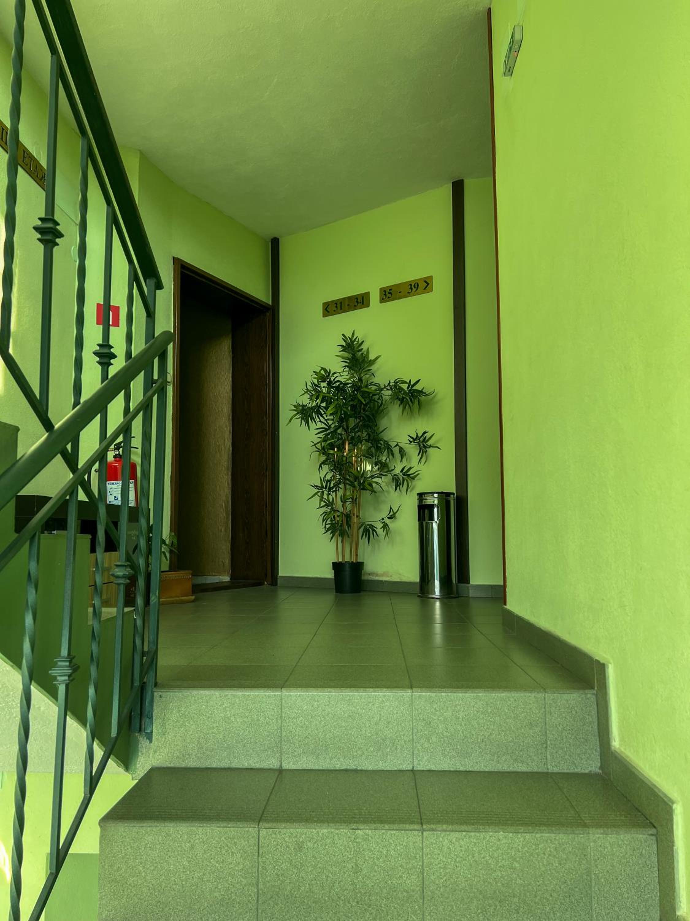 Фото Hotel Alpha