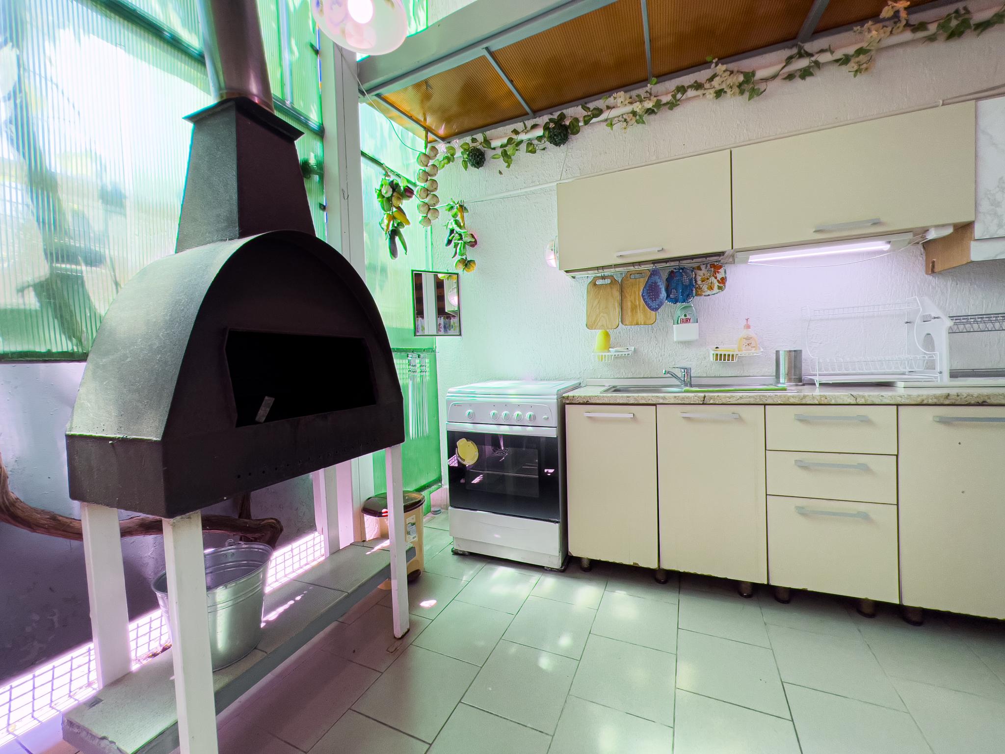 Фото Дельфин на Черноморской