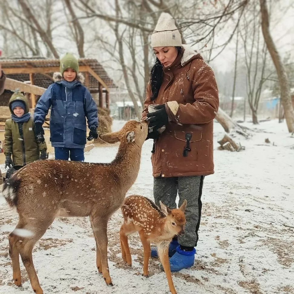 Фото Дикое подворье