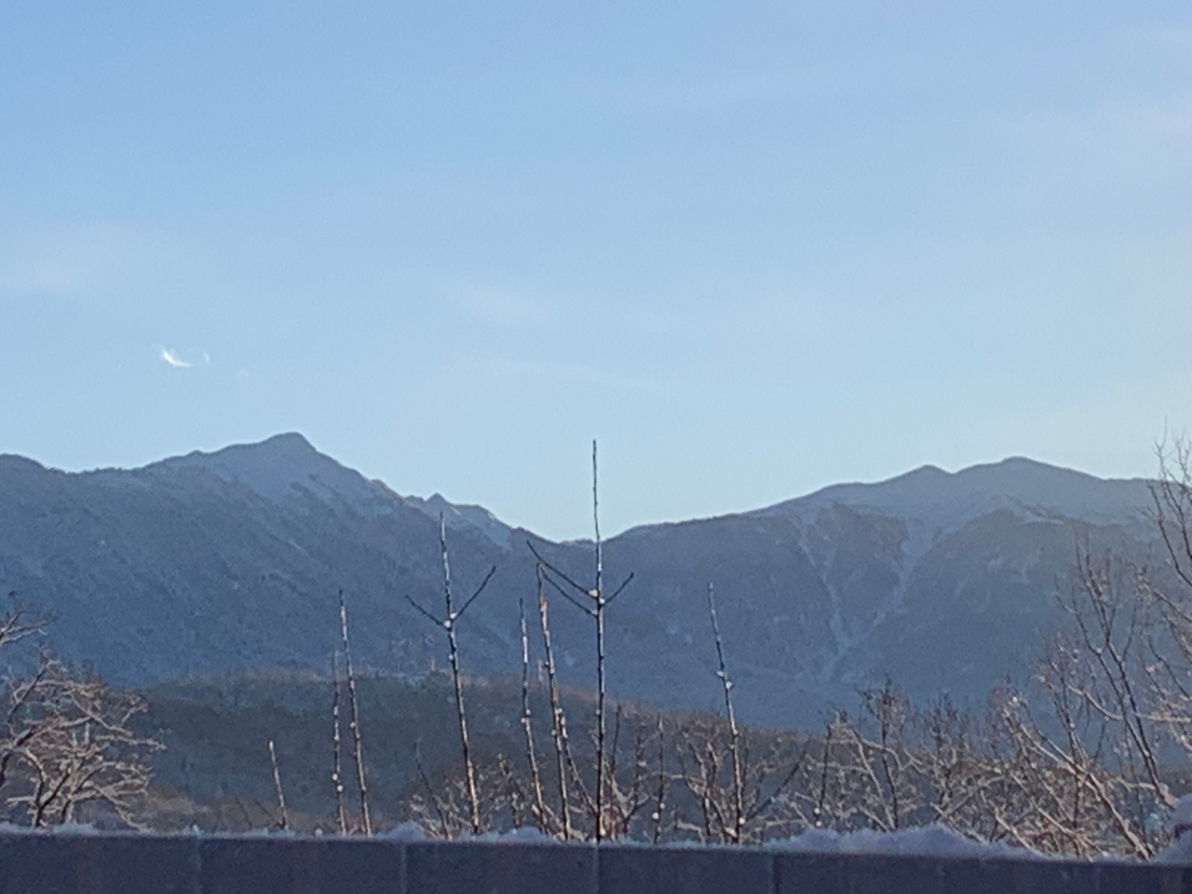 Фото Форелька