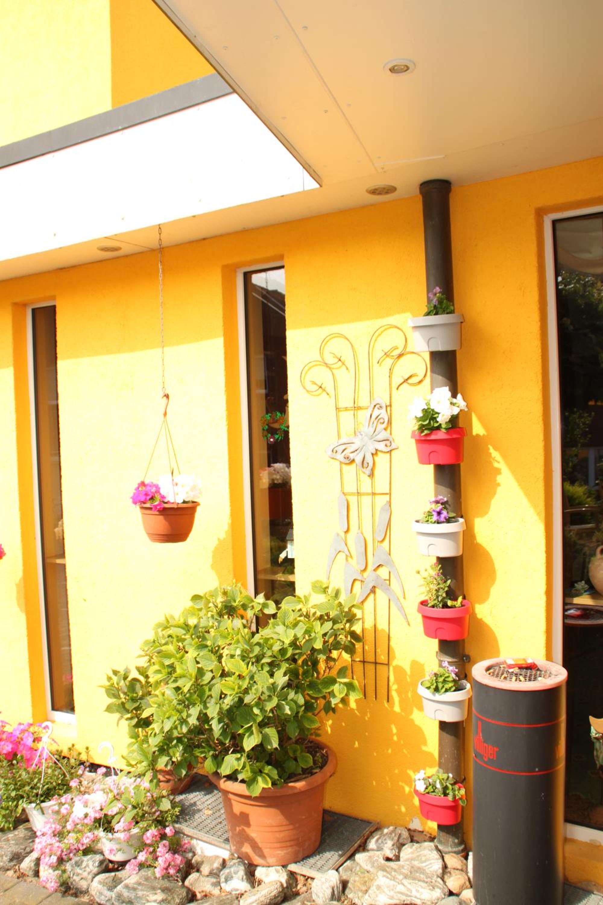 Фото Hotel Neuses