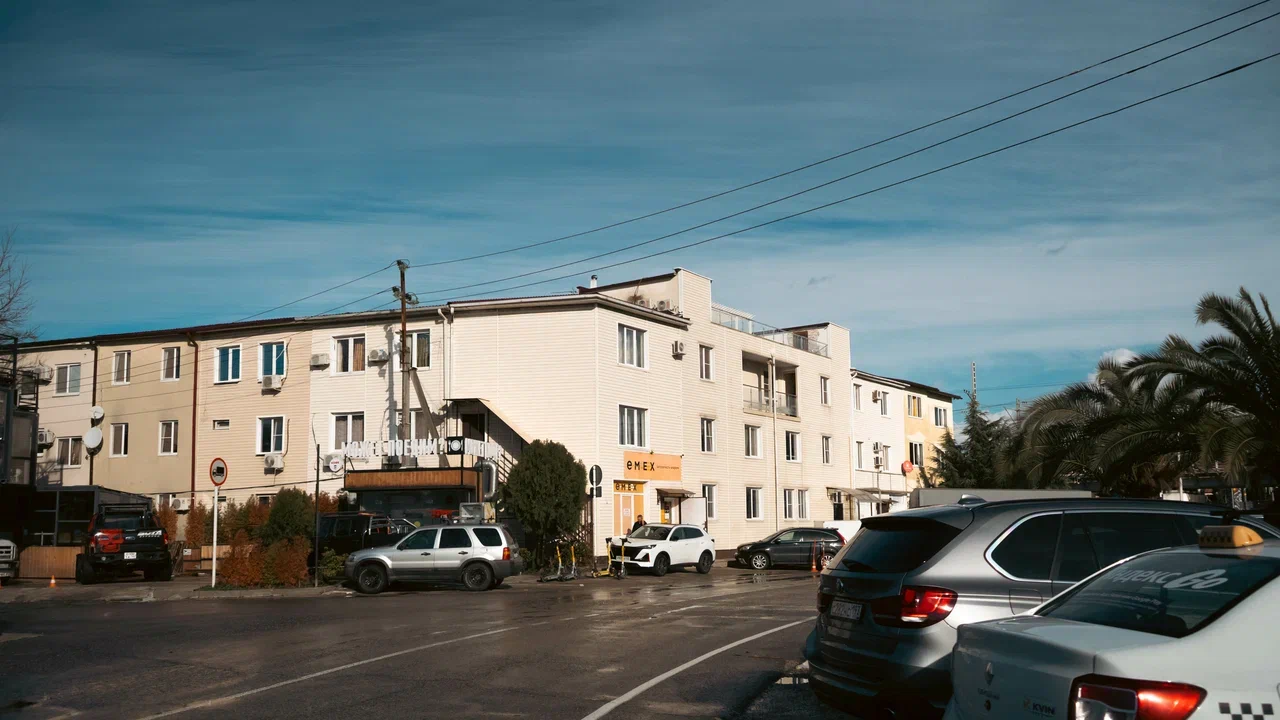 Фото Старый Лис