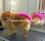 Пушистое Счастье (ulitsa Gaydara, 59Е), pet salon