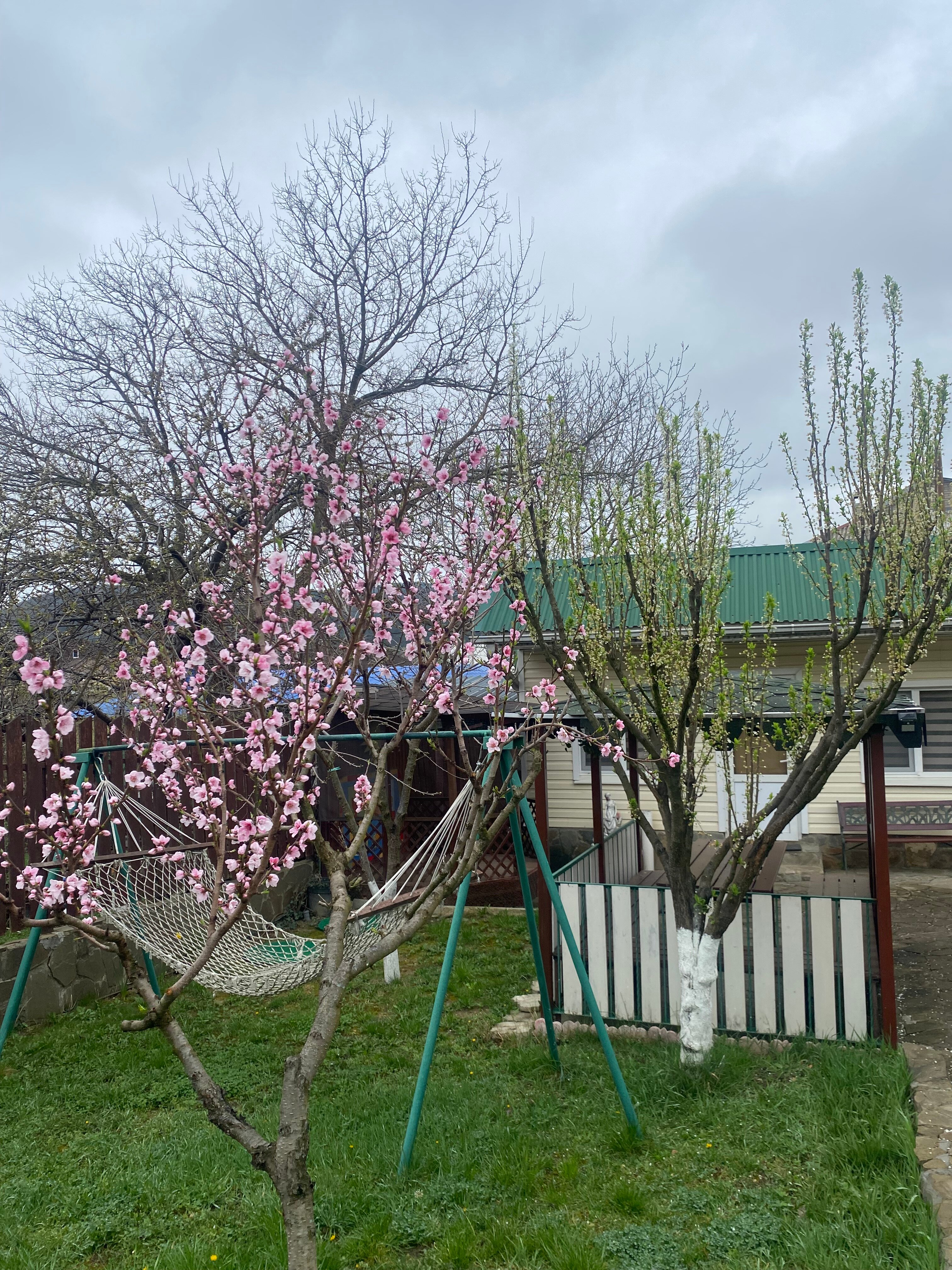 Фото Архипка Rooms