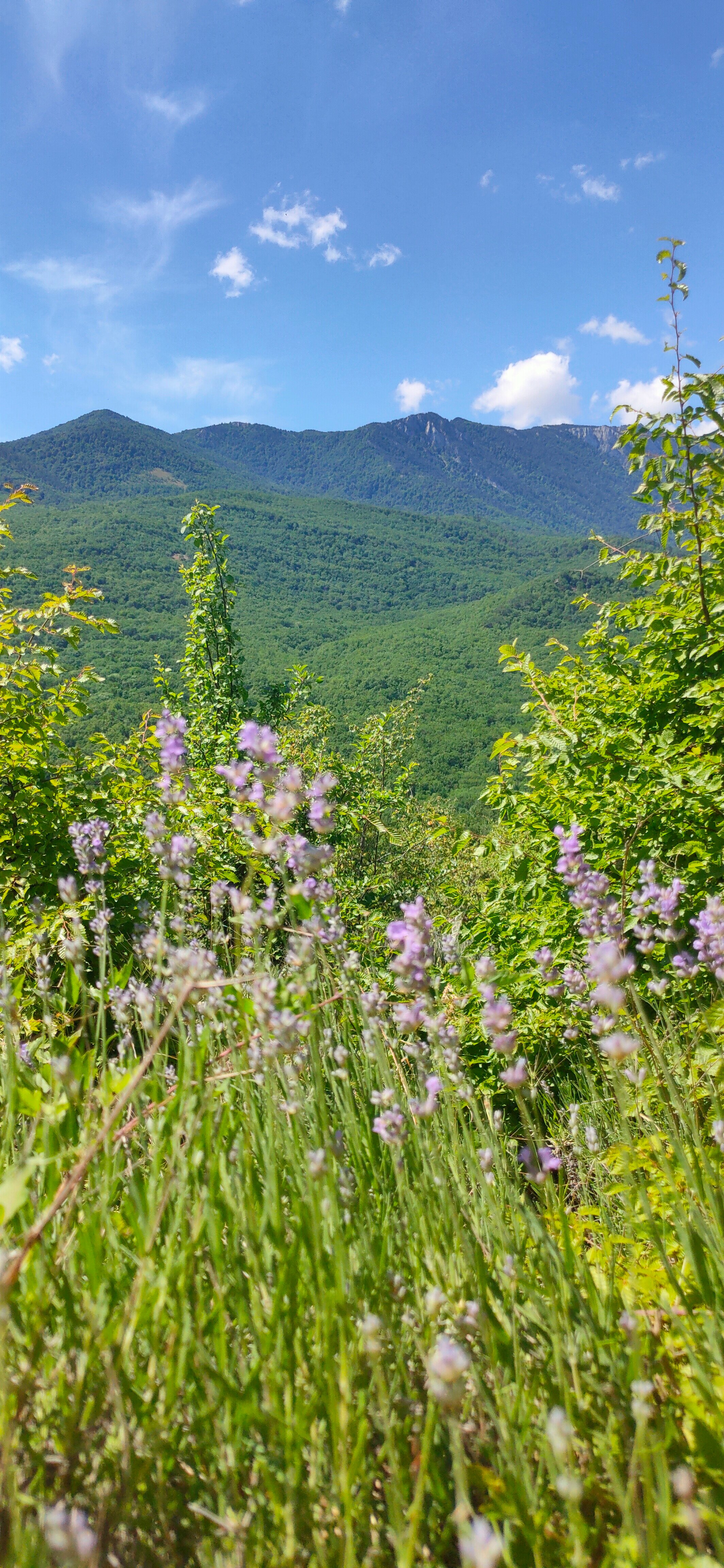 Фото Купольный домик в горах Крыма