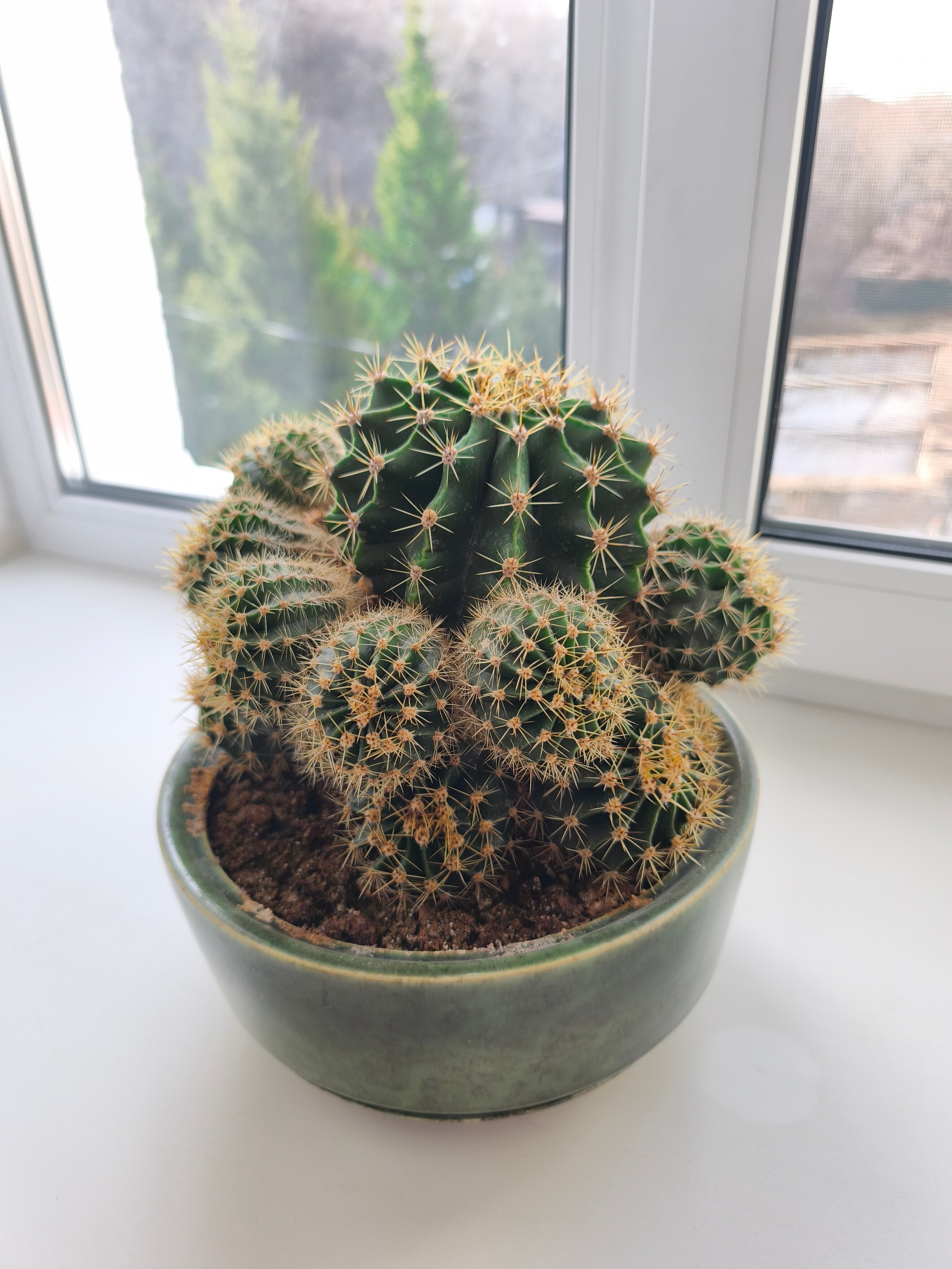 Фото Галерея