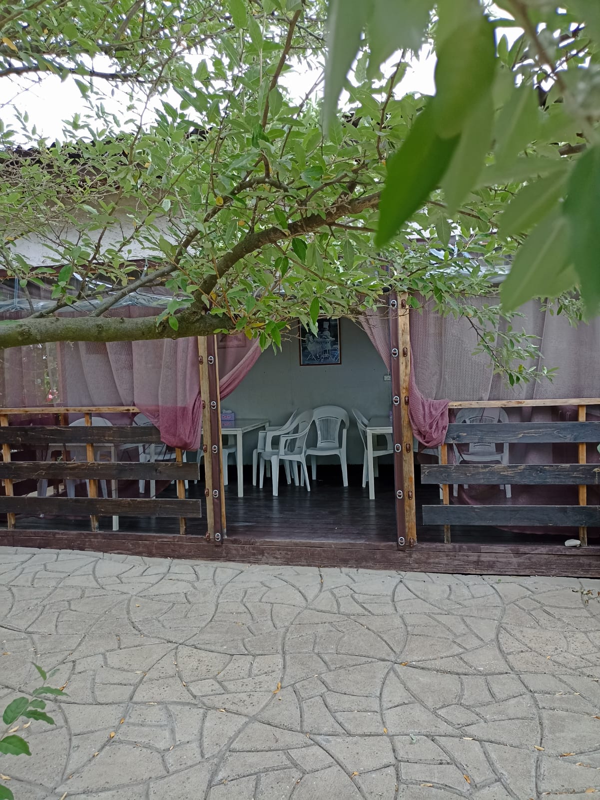 Фото Пчелка