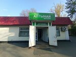 Altynai (6th microdistrict, 45Б) ، محل بقالة