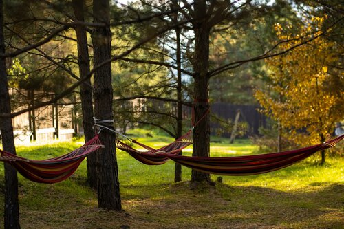 Дом в аренду Сосновый рай в Усть-Семе