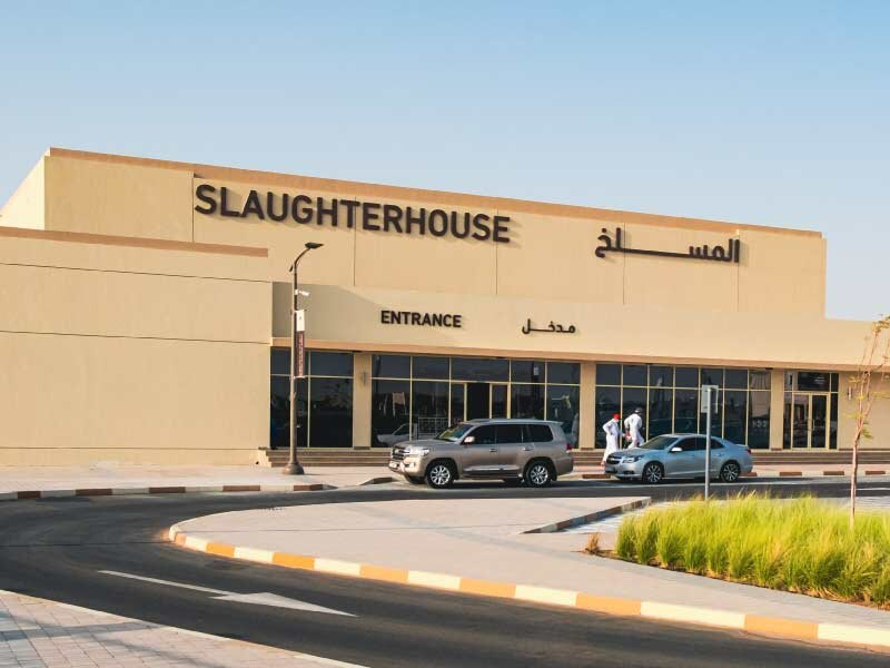 Market Sharjah Live Stock, Sharjah, photo