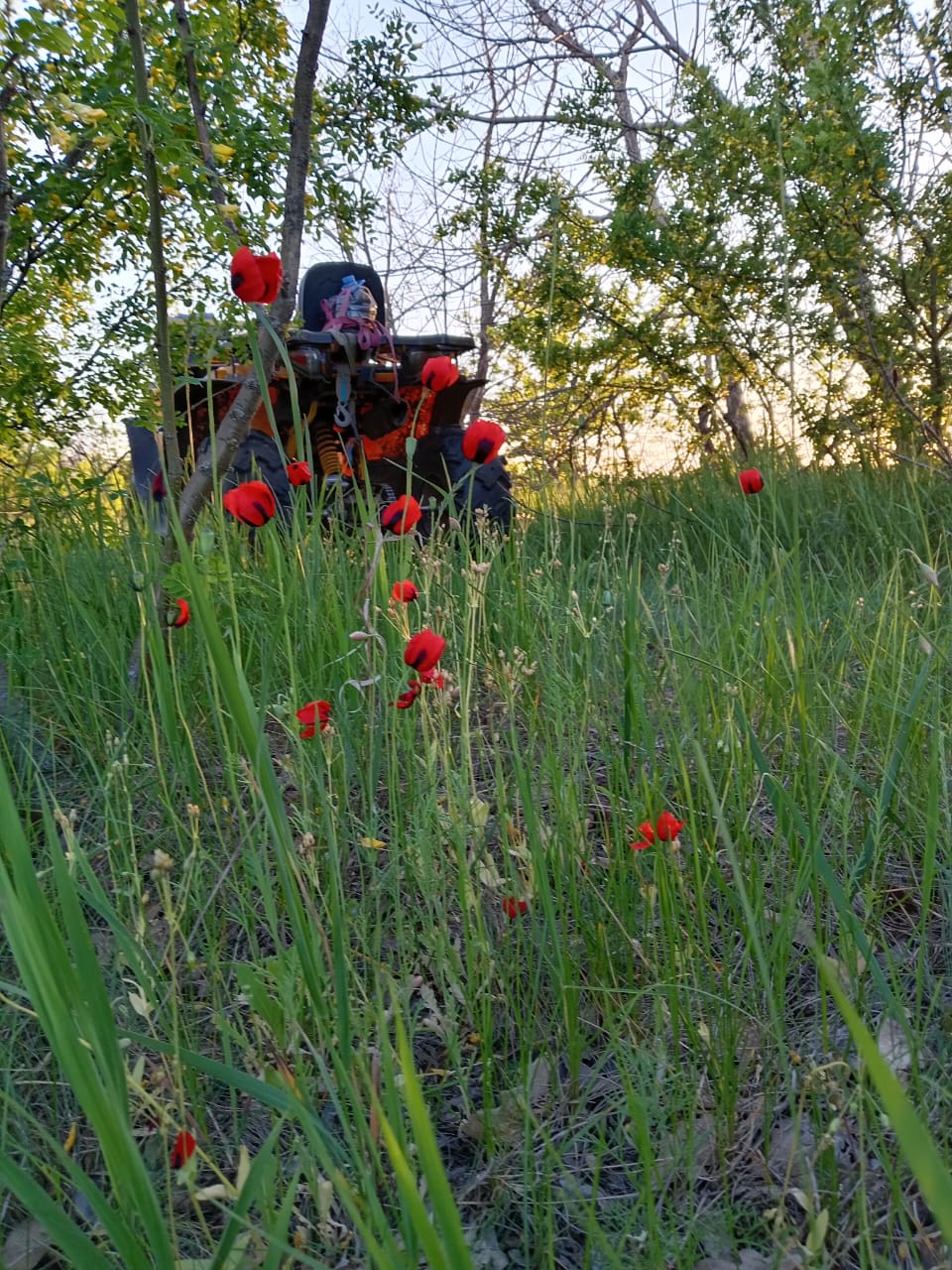 Фото Добродом