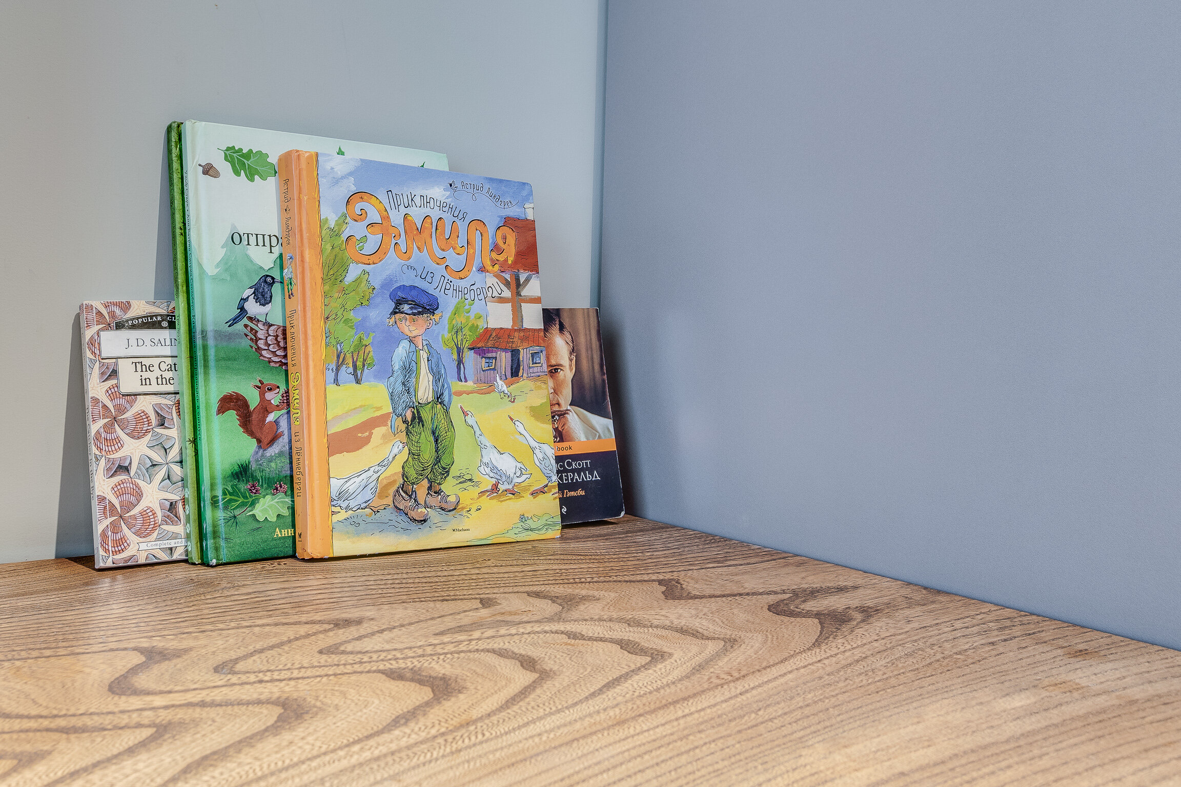 Фото Sokroma Сканди Лофт