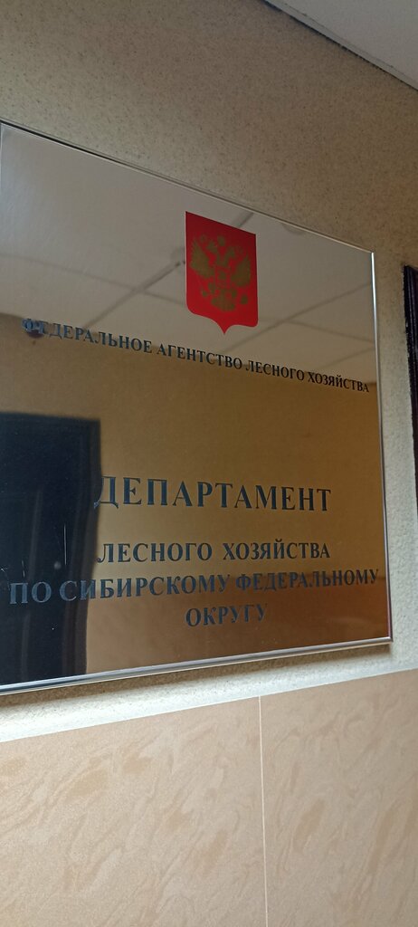 Government ministries, services Departament lesnogo khozyaystva po Sibirskomu Federalnomu okrugu, Novosibirsk, photo