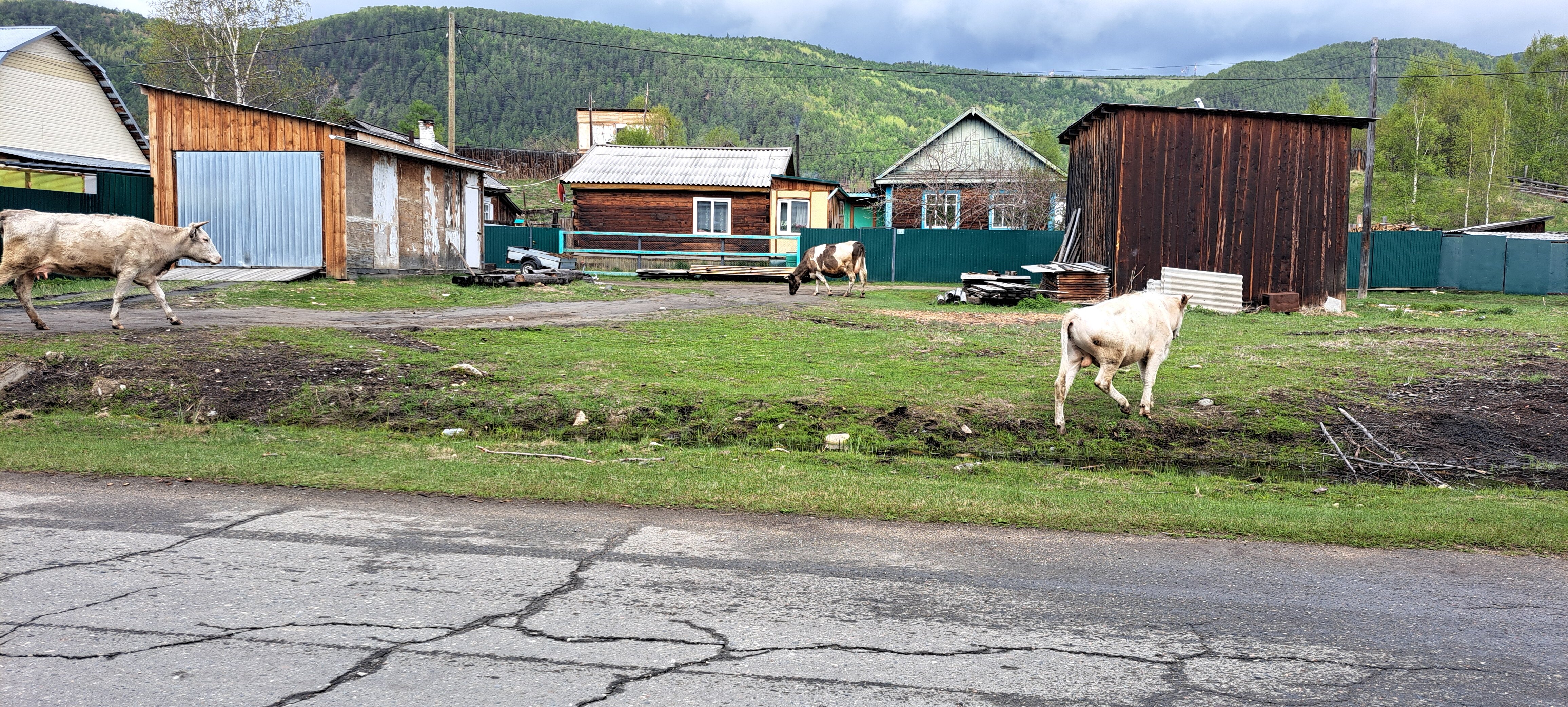 Фото Северный Байкал