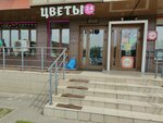 Цветы от Дали (ulitsa Sitnikova, 2), flower shop