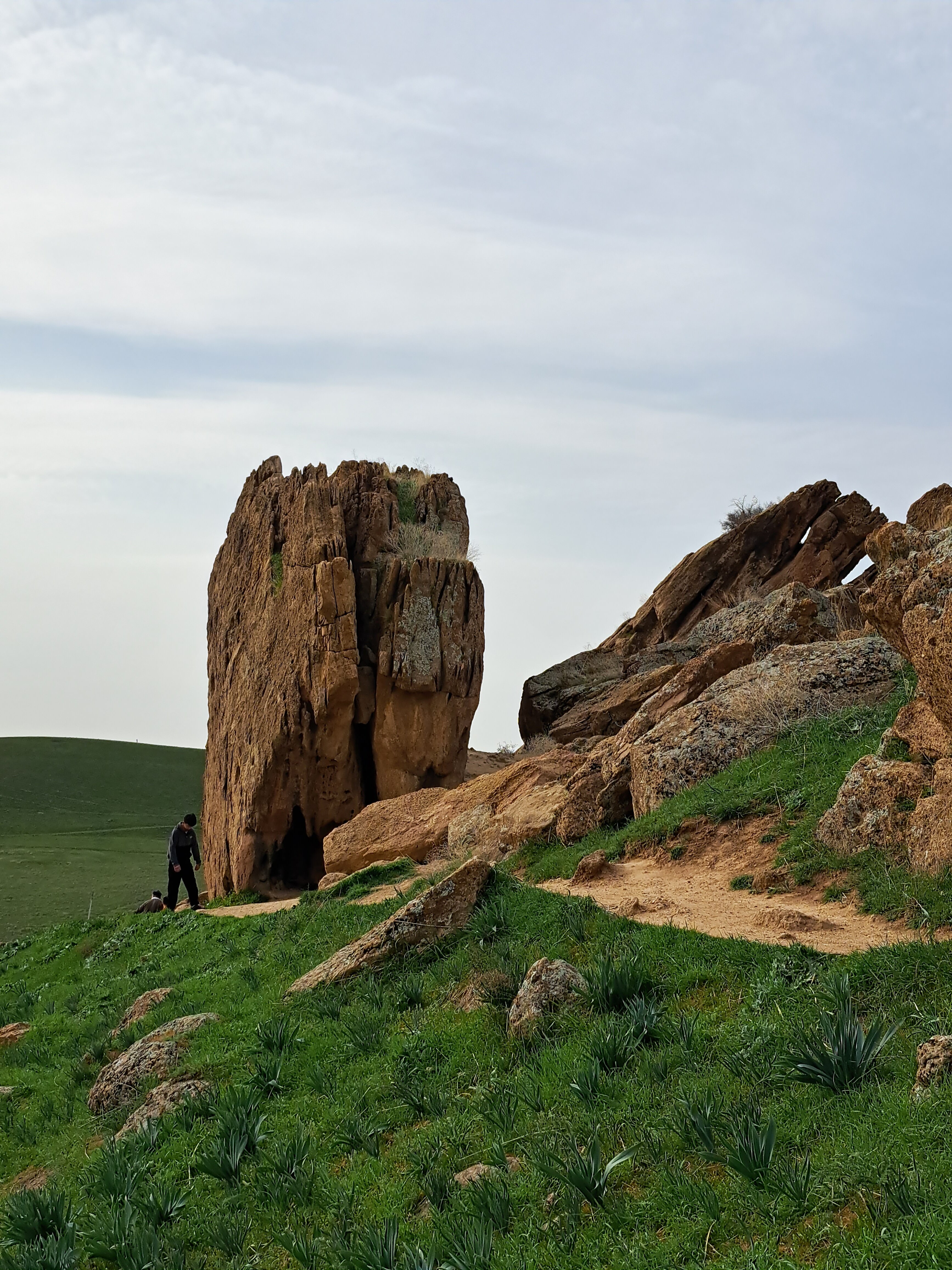 Ақырын есекке кіреді