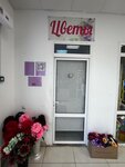Цветы Виктория (selo Kirillovka, ulitsa Lenina, 37А), flower shop