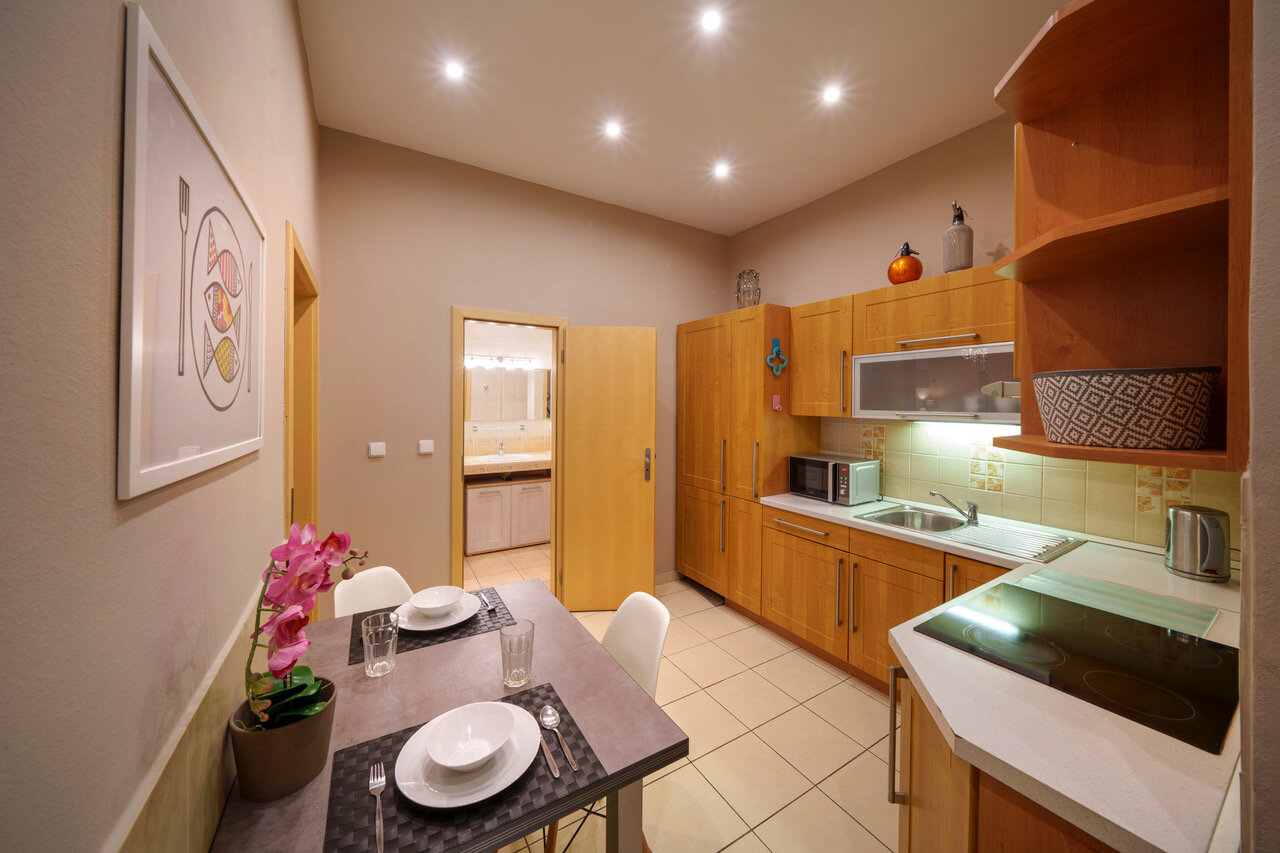 Фото Dlouhá Apartment with balcony