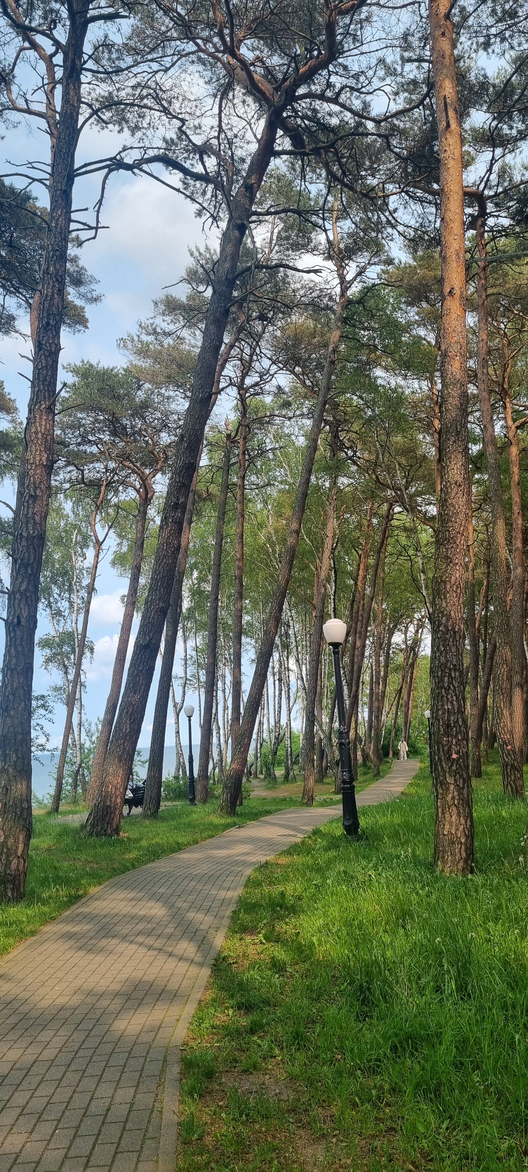 Фото БалтикАпарт Набережная Прованс