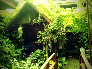 Гостиница Baan Somboon Guesthouse