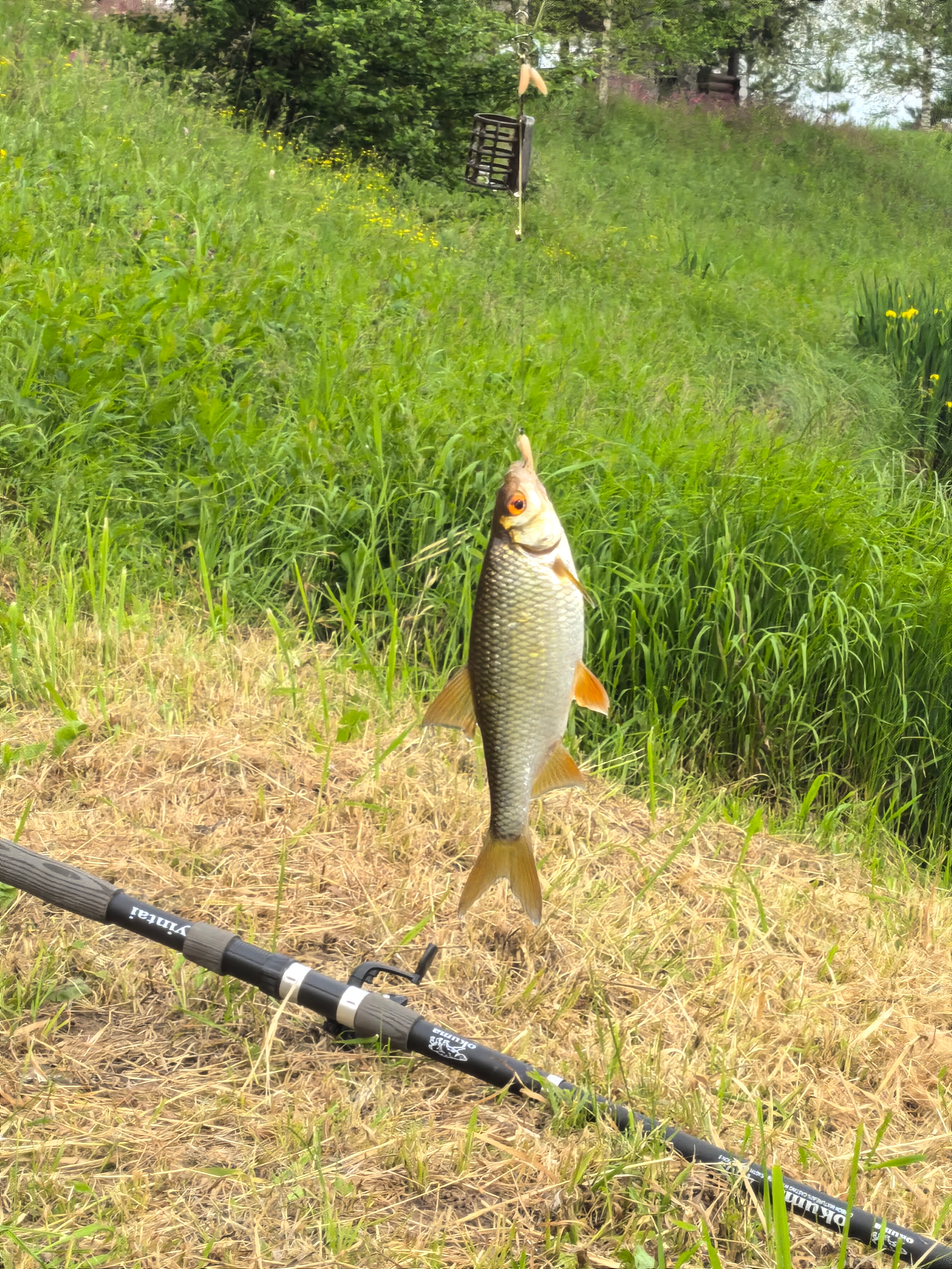 Фото Верхнее Никольское