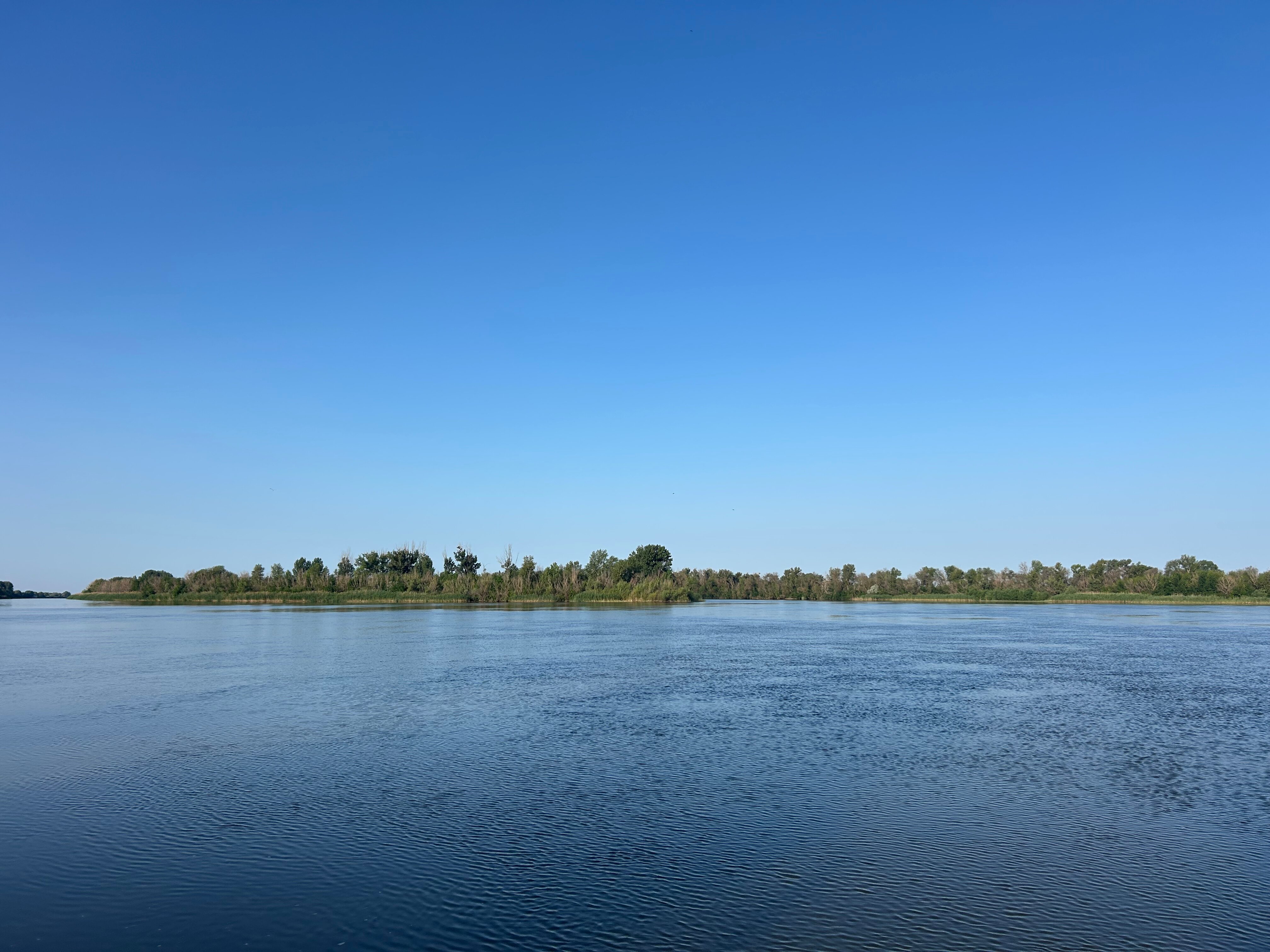 Фото Трофей