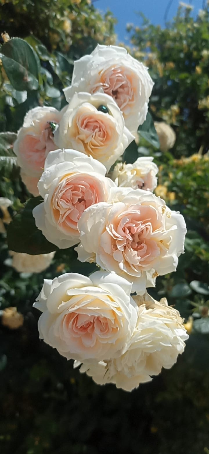 Фото В Тарках