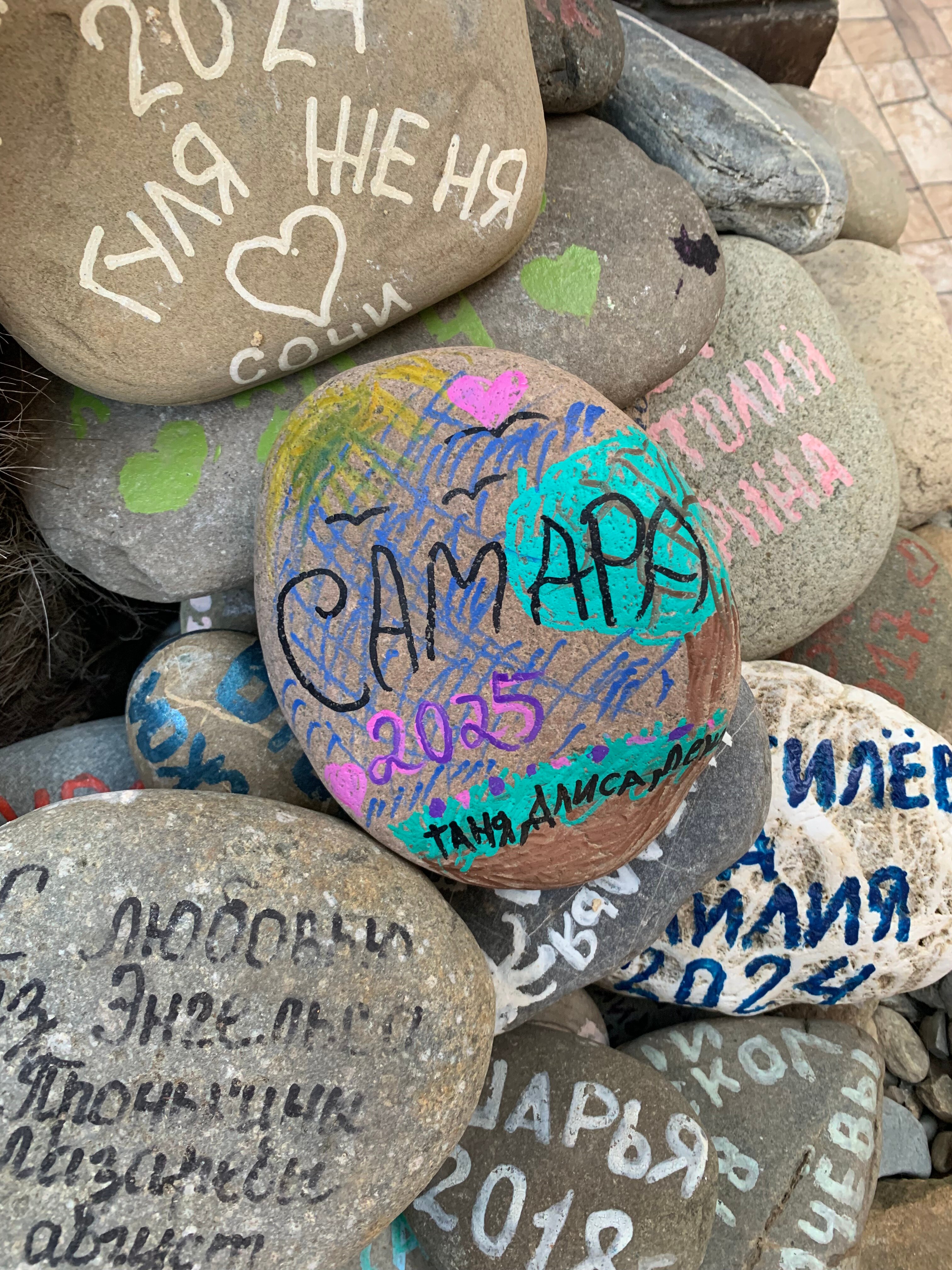 Фото Ромашка