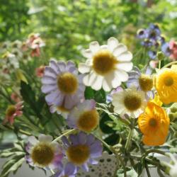 Фото Пятый угол