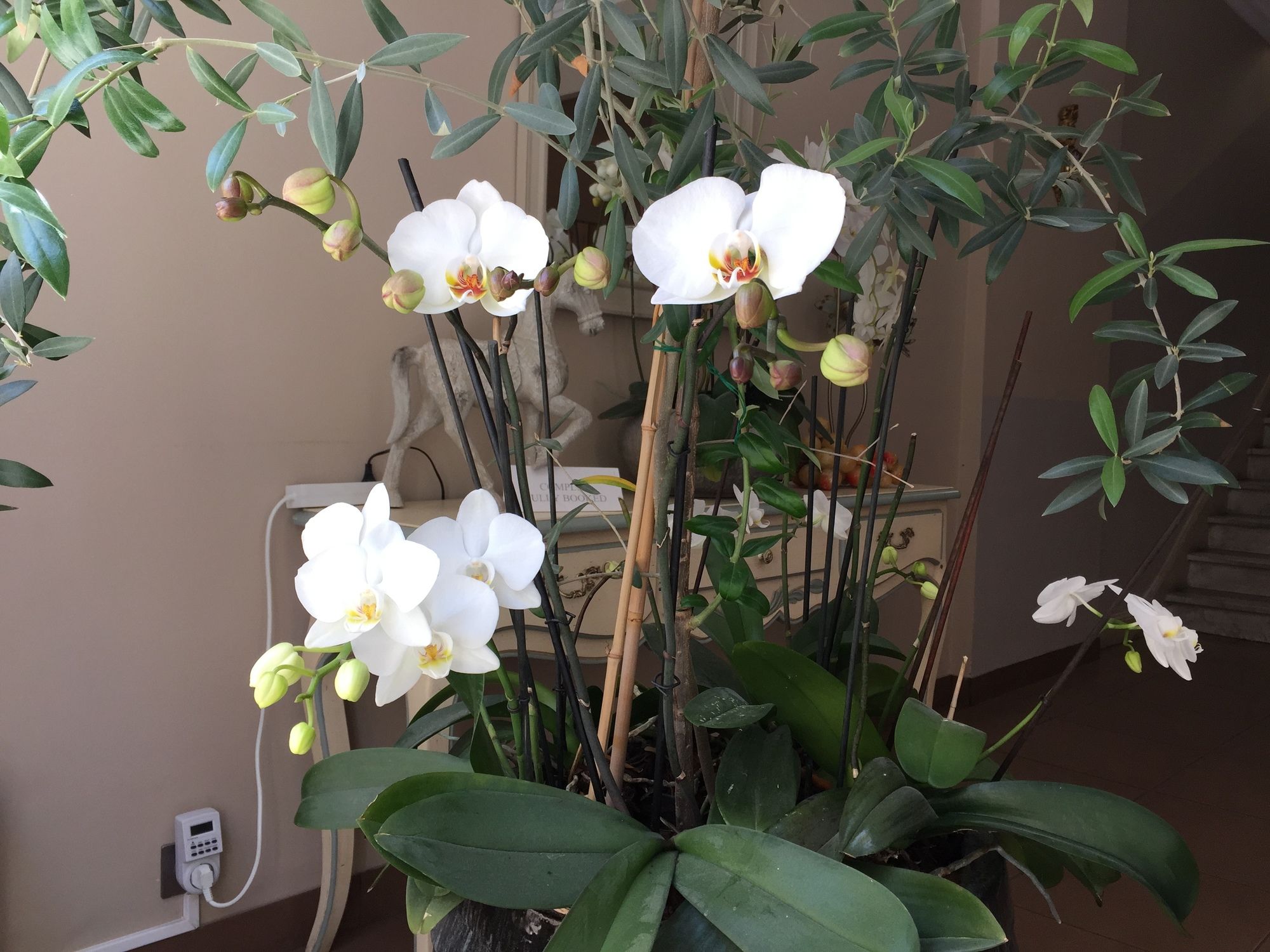 Фото Hotel Villa Berlioz