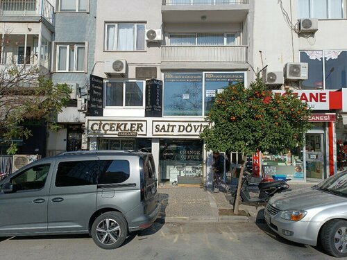 Çiçekler Sarrafiye Fotoğraf 3