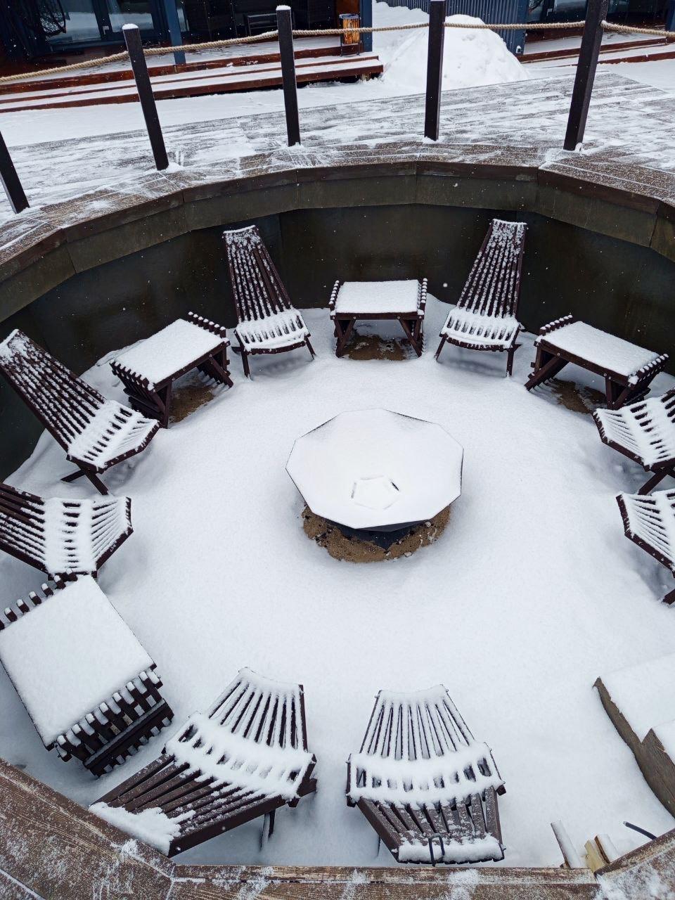 Фото Аура тополей