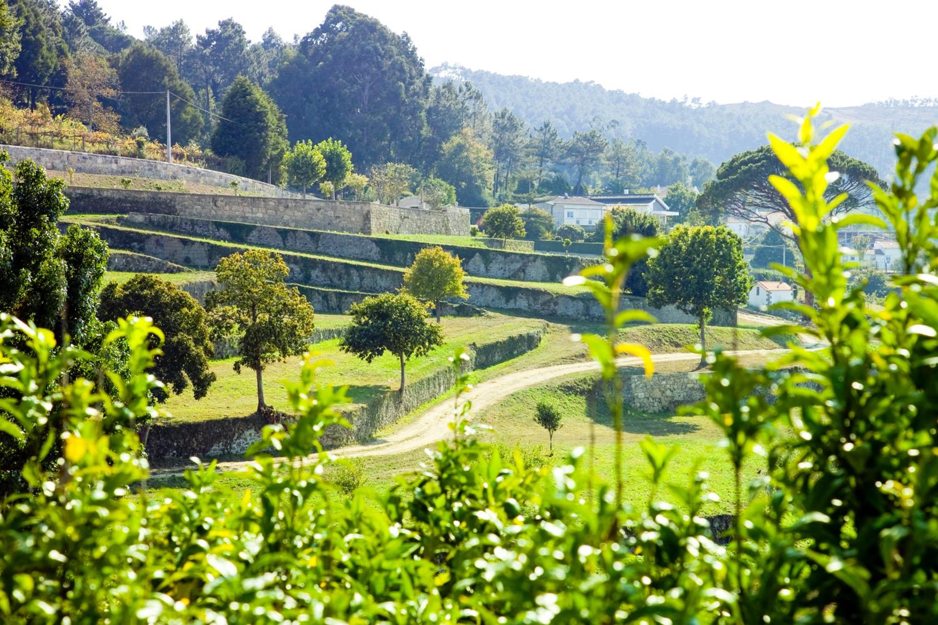 Фото Boega Hotel