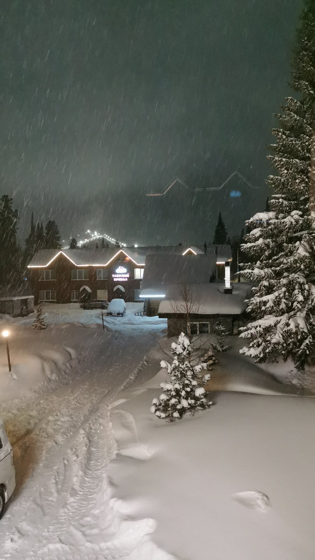 Фото Таёжный привал